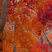 happy senior couple together